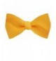 Gold Solid Self Tie Bow Tie