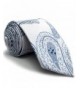 Shlax Paisley White Neckties Business