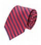 Premium Neckties Collection Tok Designs