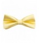 Wedding Adjustable Bowties Necktie Silk Yellow