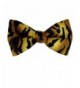 The Perfect Necktie Tiger Print
