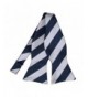 TieMart Navy Silver Striped Self Tie