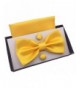 HYACINTH Pre tied Handkerchief Cufflinks Yellow