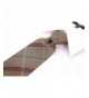 Scott Allan Mens Striped Necktie
