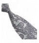 Lookatool Classic Paisley JACQUARD Necktie