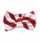 TieMart Red White Striped Bow