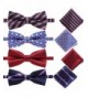 AUSKY Elegant Adjustable Pre Tied Handkerchief