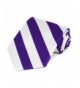 Dark Purple White Striped Tie