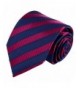 Slateblue Stripes Fashion Necktie FAA1154
