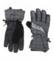 686 Womens Puzzle Glove Large