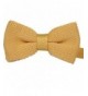 Enwis Bowtie Double Knitted Yellow