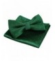 Silver Banded Pocket Square Green