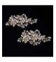 BININBOX Crystal Jewelry Fascinator Accessory