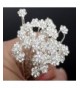 Crystal Wedding Flower Diamante Bridesmaids